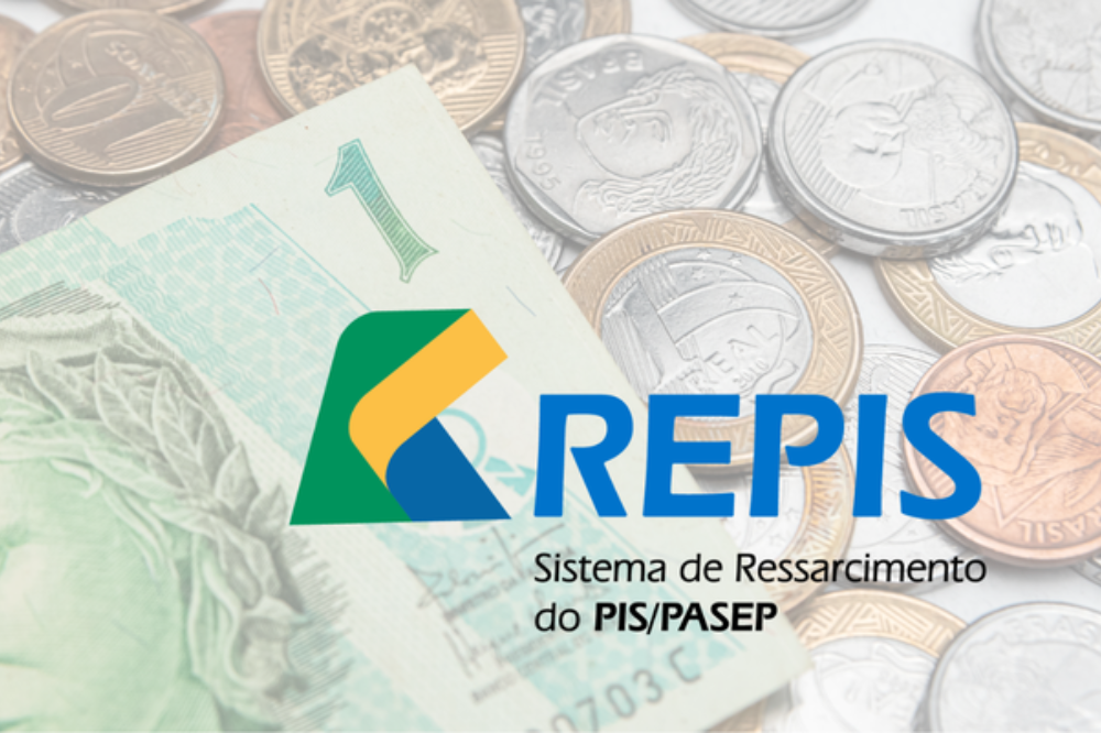 o que é o Repis Cidadão